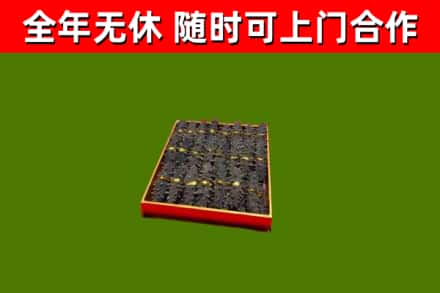 孟州市回收海参